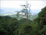 Brasil 2006-04 006